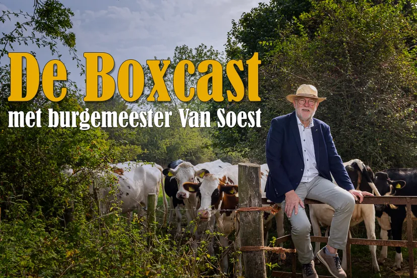 de boxcast
