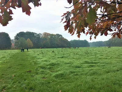 excursie peel natuurdorpen 23 okt 2020 foto web