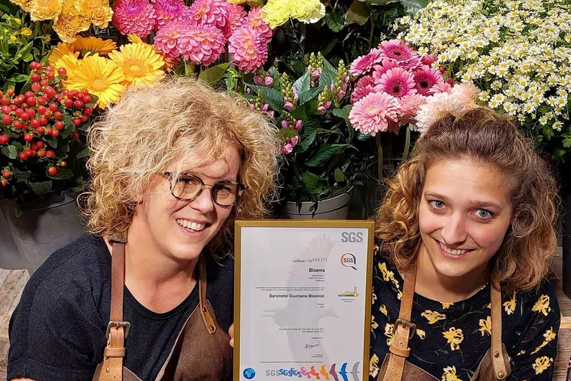 feu1 jwwb nl public 7 7 8 foto albert overloon wtq79w bloems