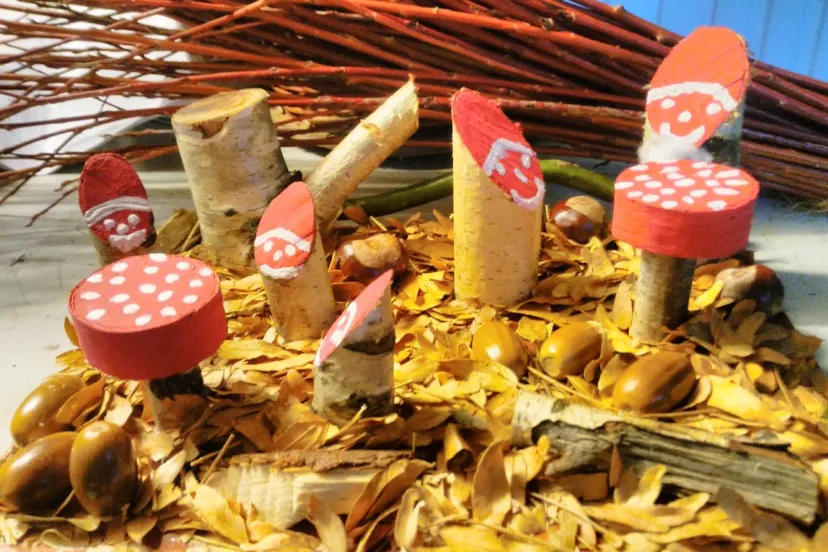 kabouters en paddenstoelen