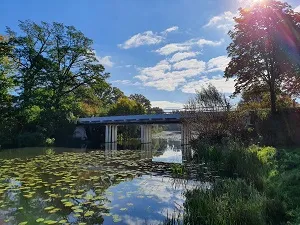 piet cremers1 verkleind