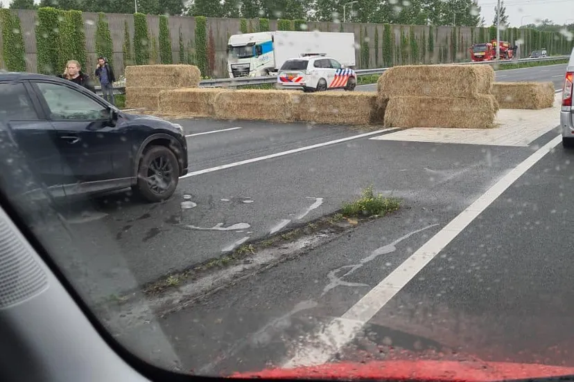 whatsapp image 2022 06 27 at 31203 pm