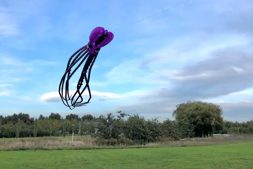 a3199e22 42ca 44f2 a4e9 d17336f6eb67