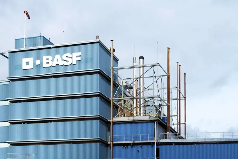 basf de meern