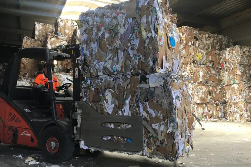 bij fotos pagina pru 1024x768 1