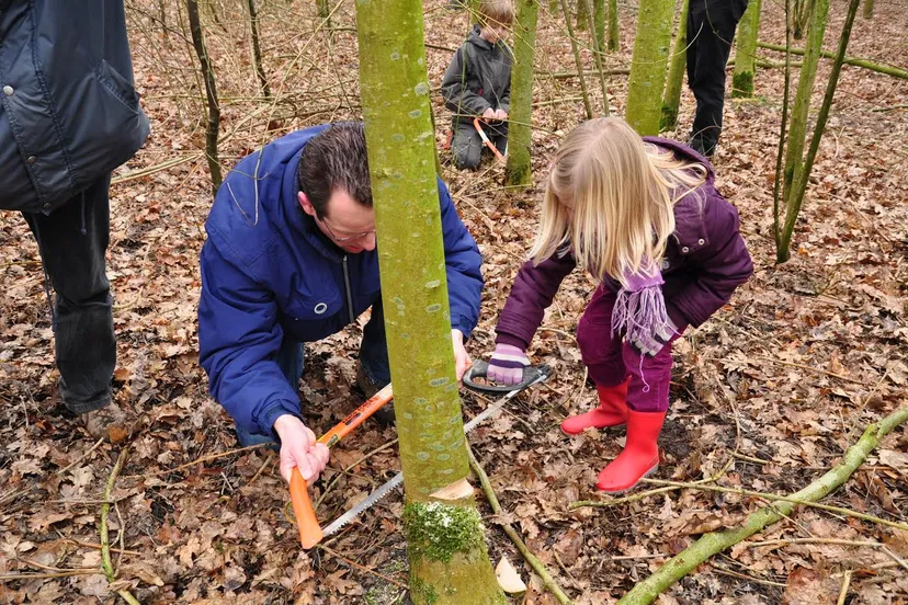 bomen zagen