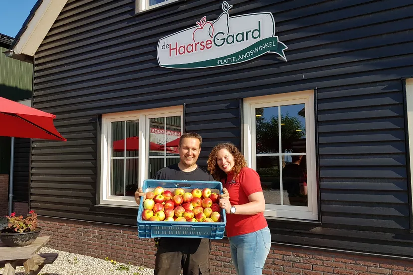 de haarse gaard tony paulien