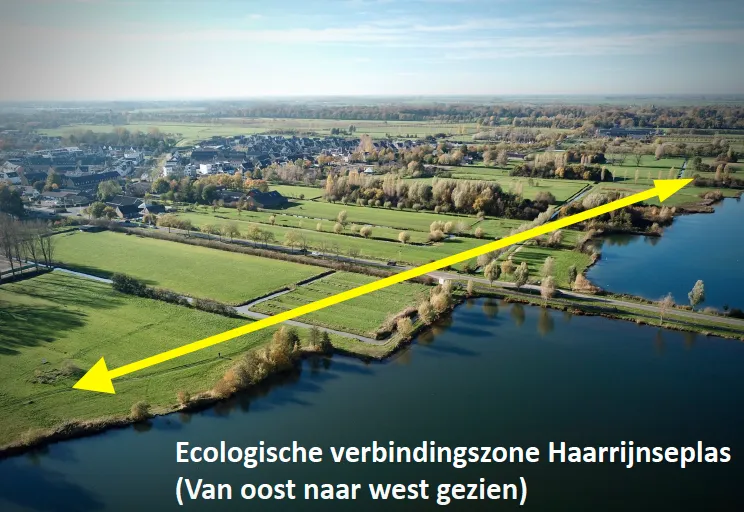 de molenkavel ligt middenin de ecozone