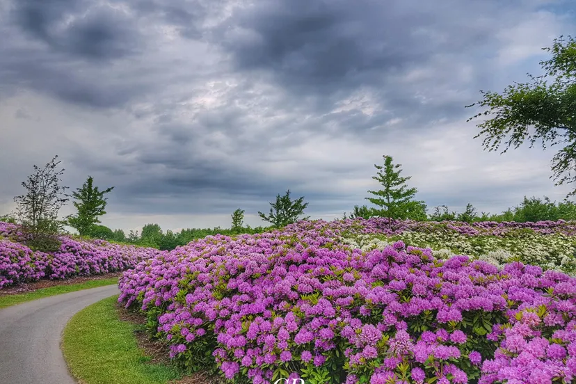 fae500e2 f49f 4d2e bc89 2bec032f4879