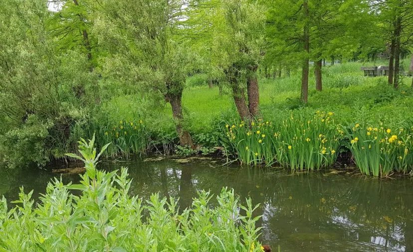 schermafdruk 2018 05 22 161454