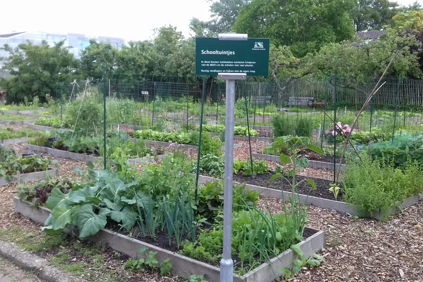 schooltuintjes