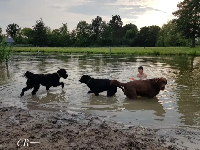 00cf7c9a 8535 4c72 b495 75902d20028b