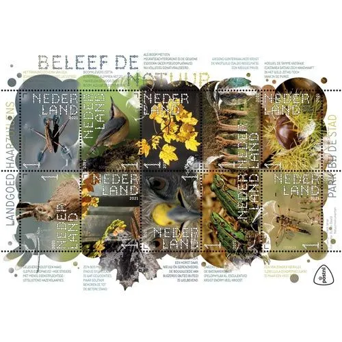 1628281136 natuurvelhaarzuilens rgb 1