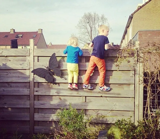 17121599082 ba126733f9 z1