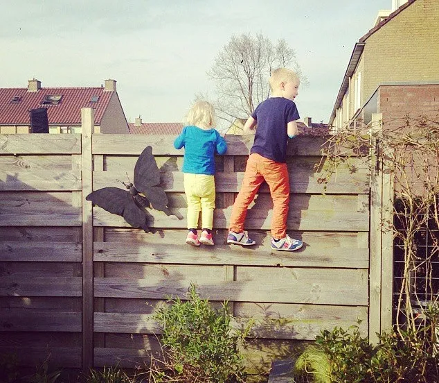 17121599082 ba126733f9 z1