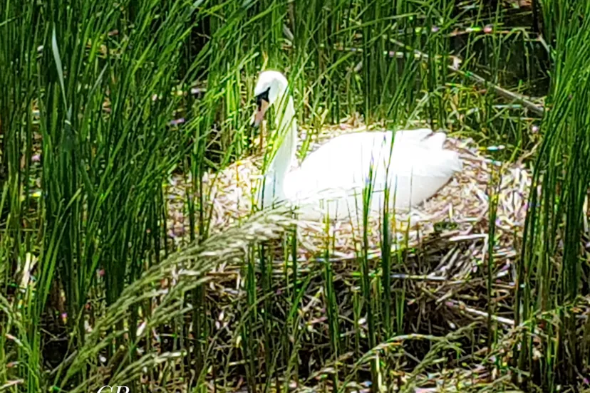 20180517 120217 01 1