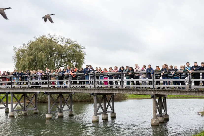 202211091014 jvb 3094