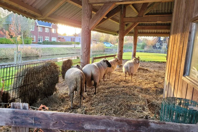 264079240 1511269909260421 8602873293113759116 n