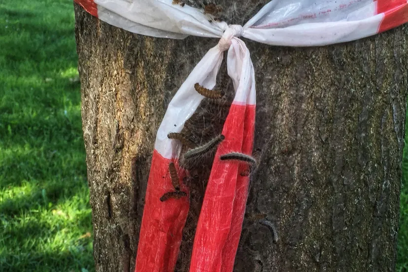 2bc02f84 6f7c 48a9 89a7 f9835e2d3418