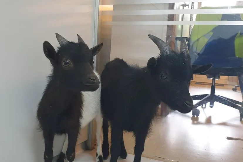 354458124 833816705067481 4408099477580537324 n