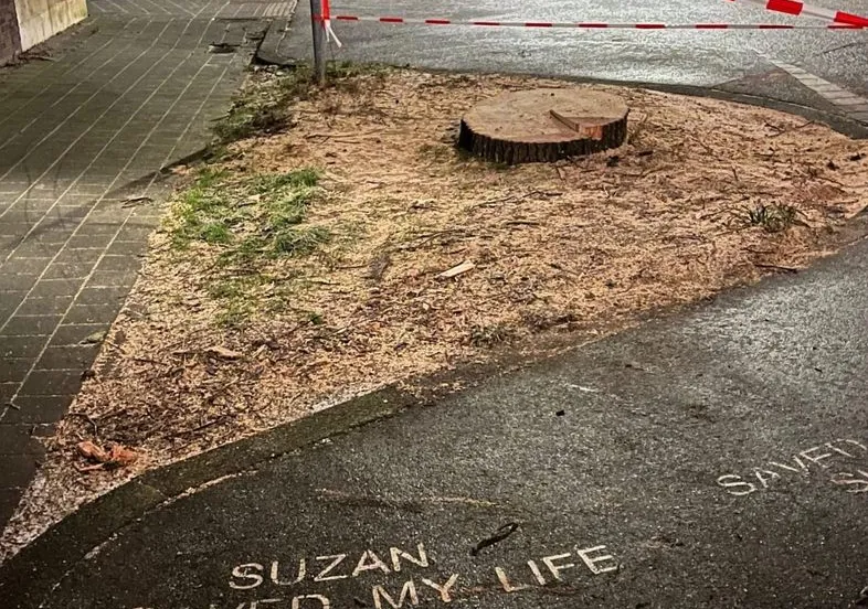 420482277 7504656479567960 5282955030404901412 n