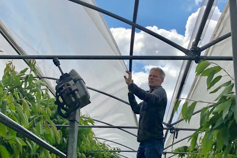 4faea71a 72ed 47ab 8fdf 76aa82971558