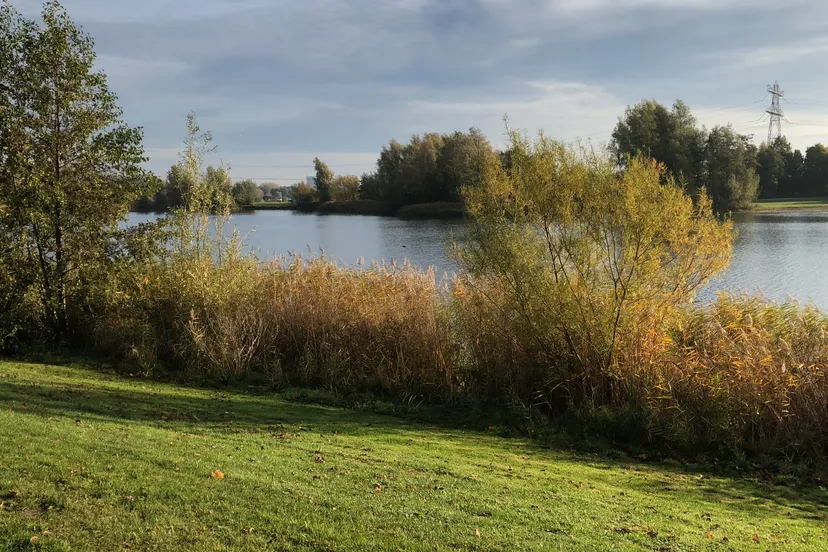 5eae1b99 ad94 43f1 aab4 8d3158dd4115