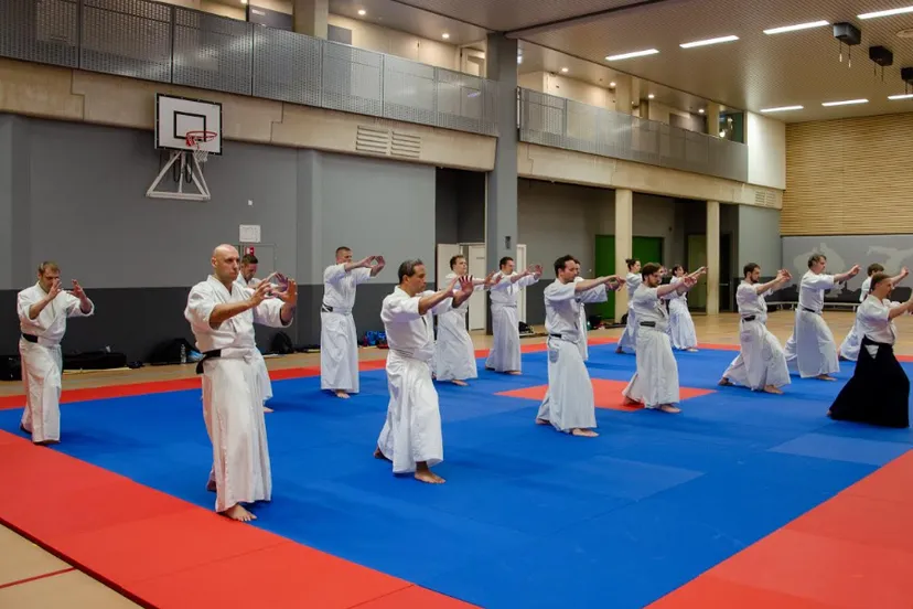 aikido