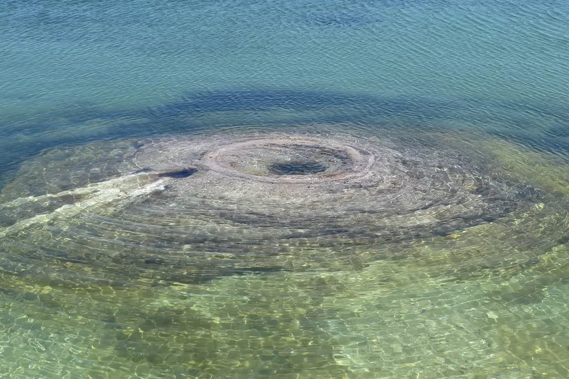 anneke jansen yellowstone national park