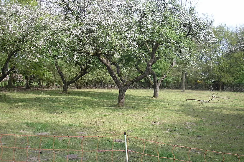 appelboomgaard