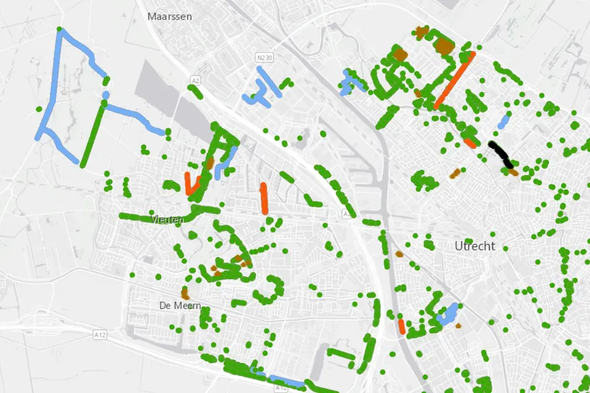 bestrijding rups plekken
