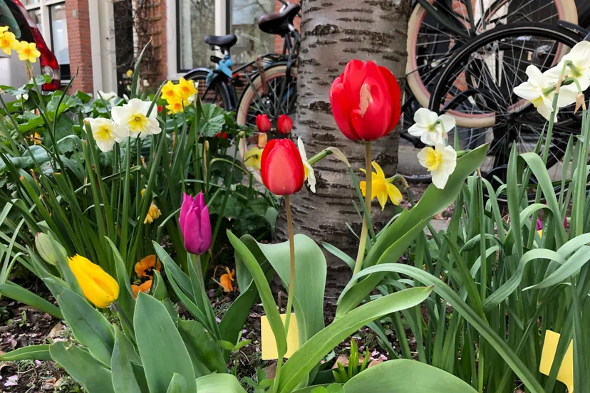 bf37046e 07c2 ab79 806f b4869dcf4ecb