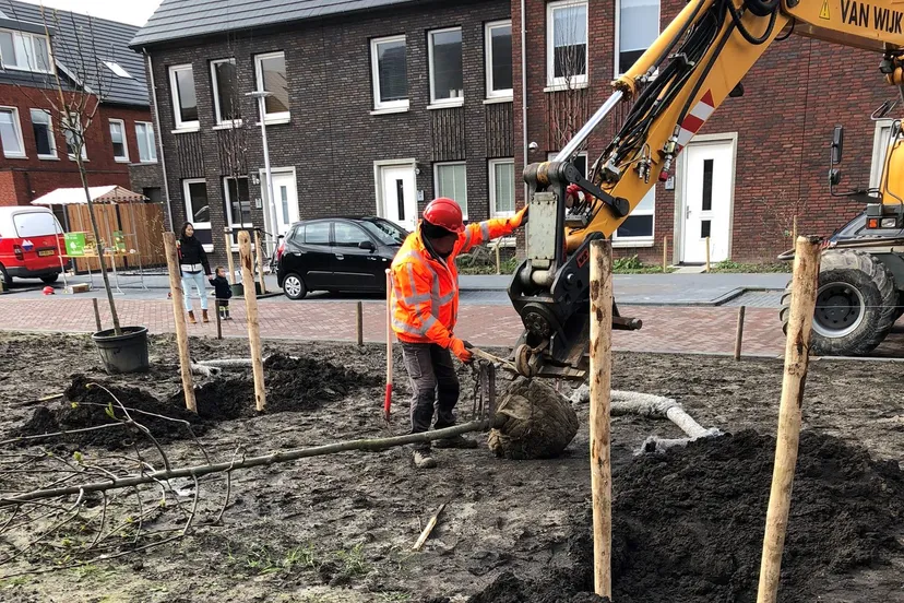bomen planten rijnvliet 2