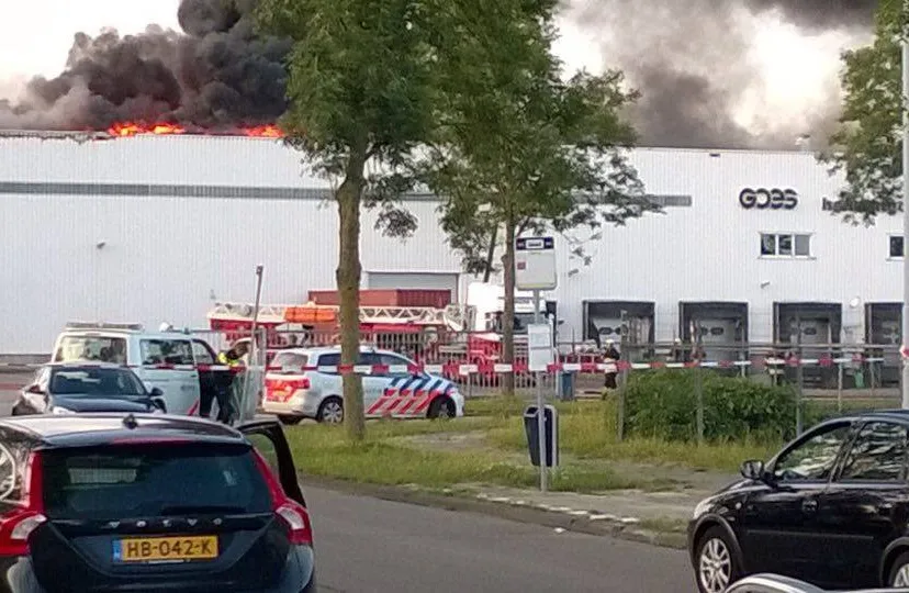 brandgoes