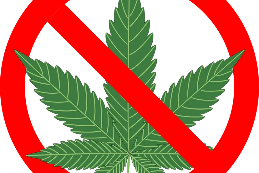 cannabis 1254745 1280