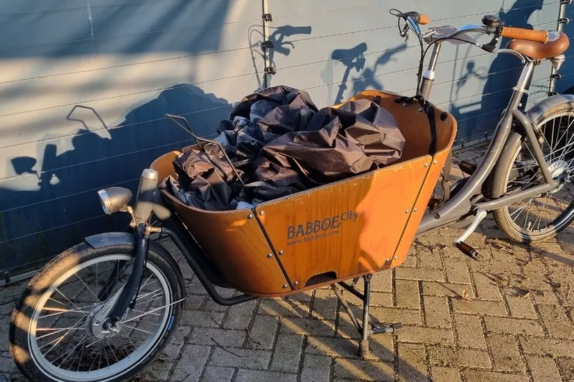 cf0c9365 beaa 3155 9751 3e31b0b36caf