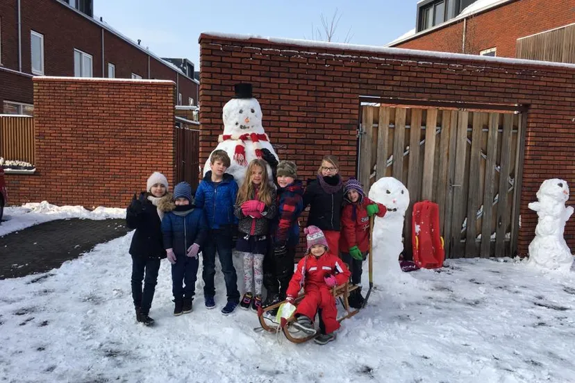 danilo ivanovic nino