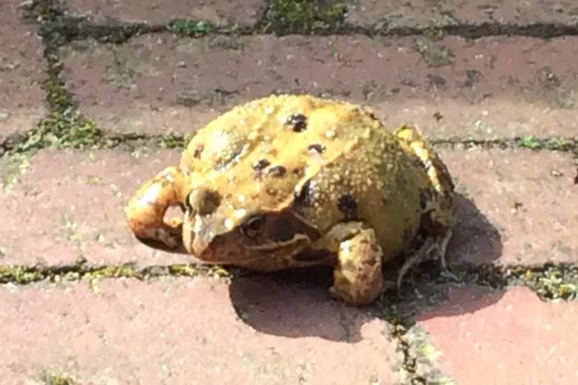 dd22c245 6d36 4465 a774 1d804aa37762