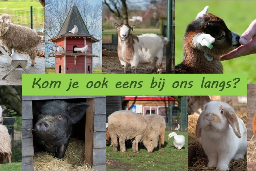 dierenweide vleuten