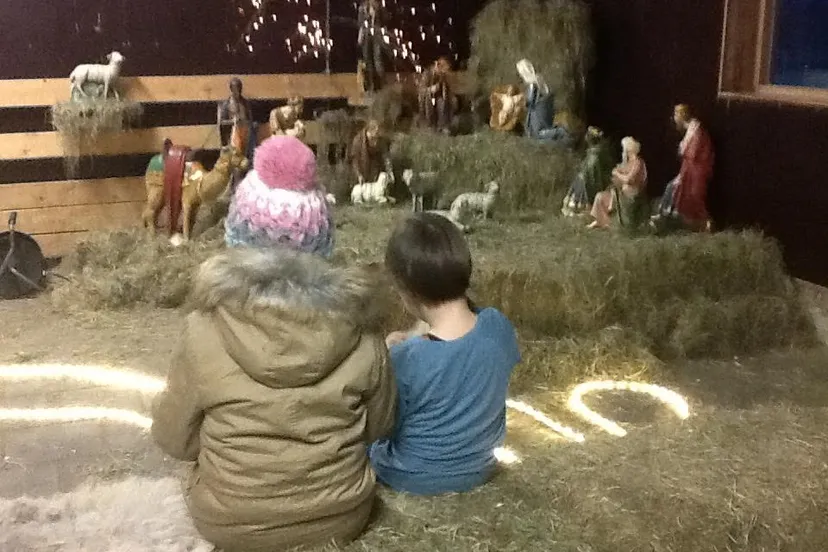 kerstindeschaapskooi