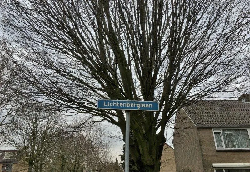 lichtenberglaan kleiner