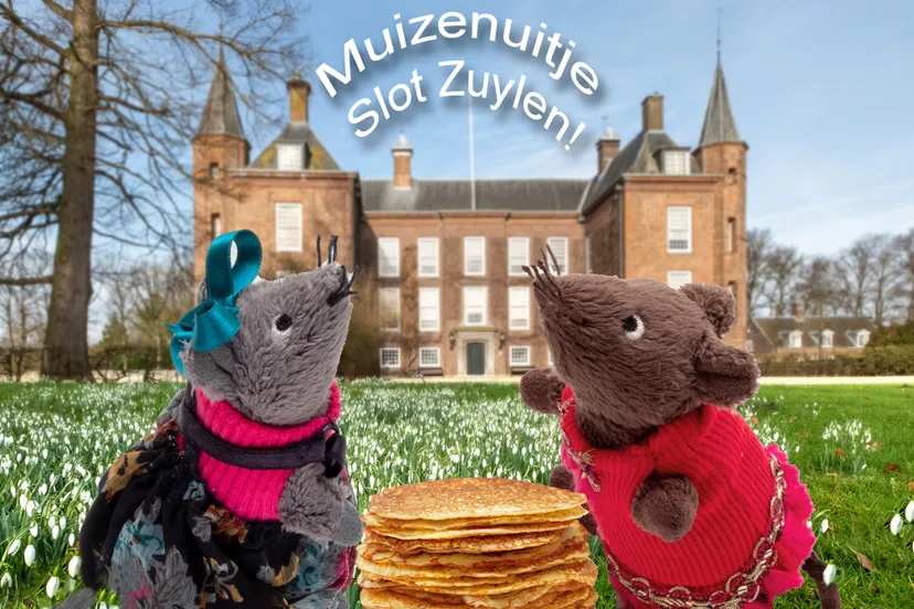 muizenuitje slot zuylen afbeelding