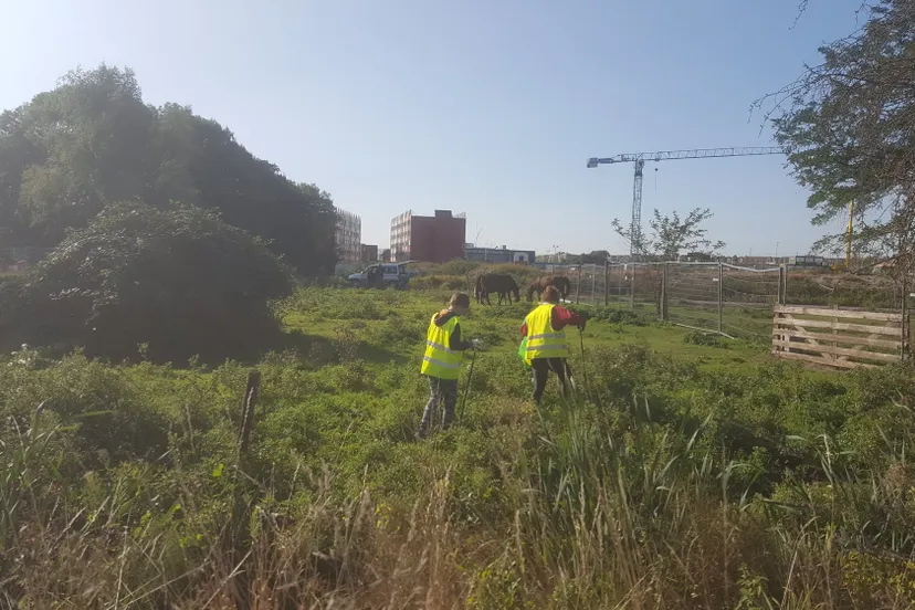 opruimen cleanup day