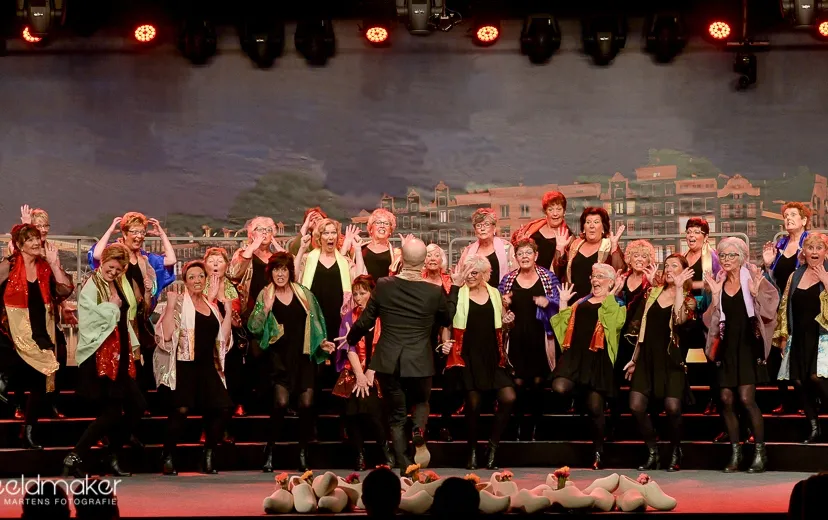 optreden conventie 2017