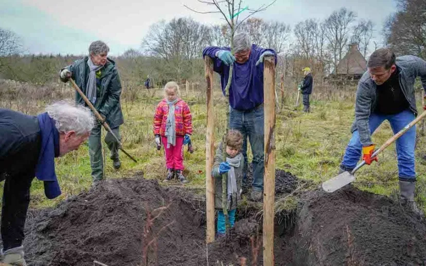 planboom fotojacktillmanns 915x518 1