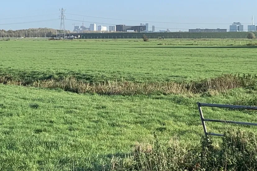 rijnenburg