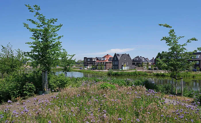 rijnvliet