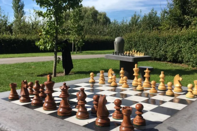 schaaktafel maximapark