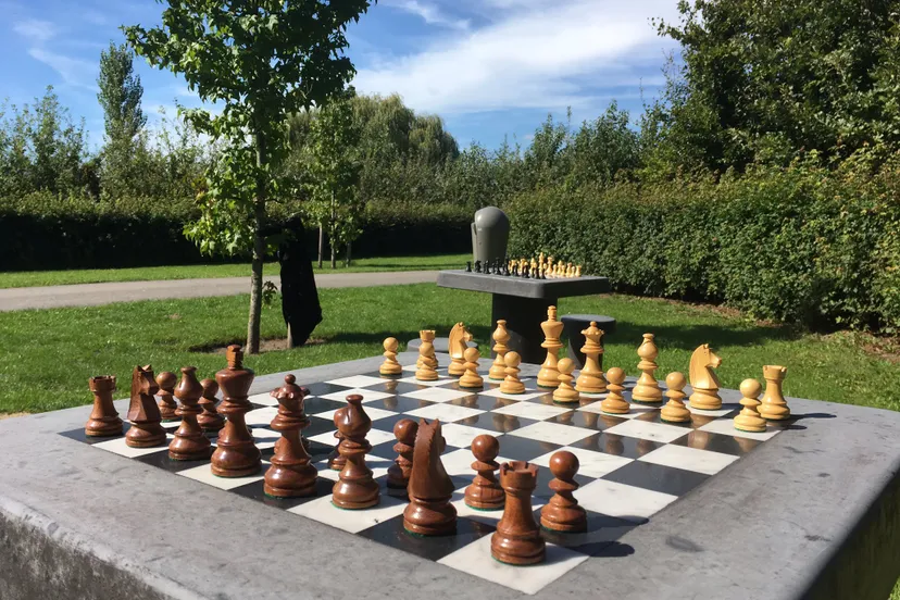 schaaktafels maximapark