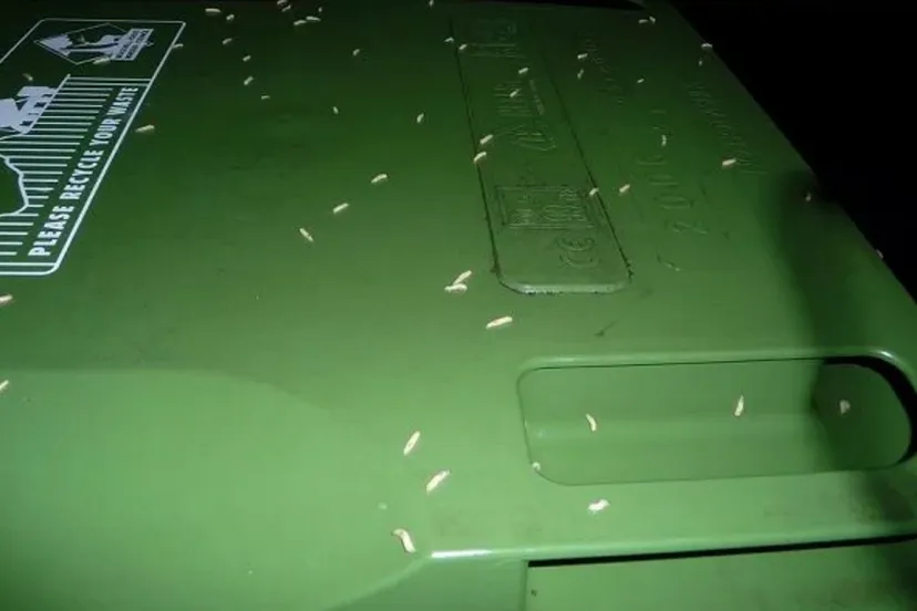 schermafdruk 2017 07 11 110630